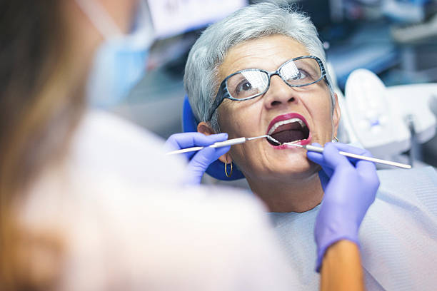 Gillespie, IL Holistic Dental Care Services Company